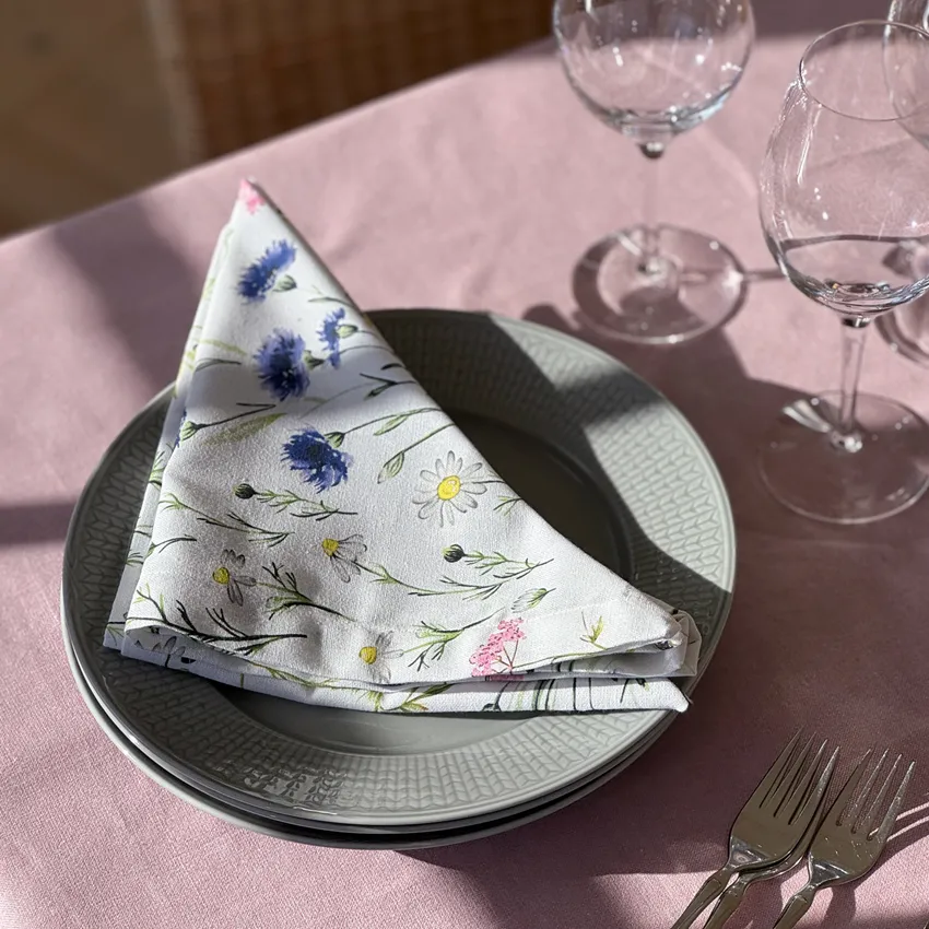 Recycled Napkin 2-pack Hilma, Blue/Green