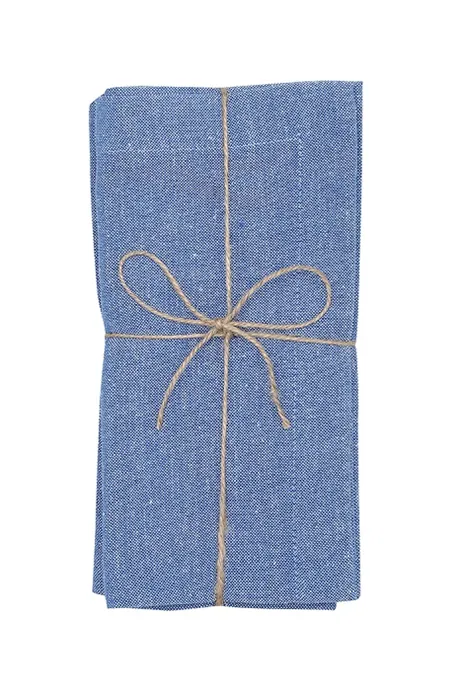 Recycled Napkin 2-pack Elin, Blue/White