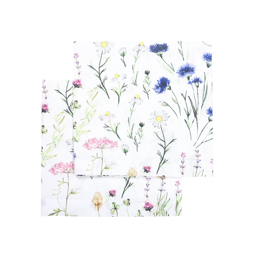 Serviette Recyclée 2-pack Hilma, Bleu/Vert