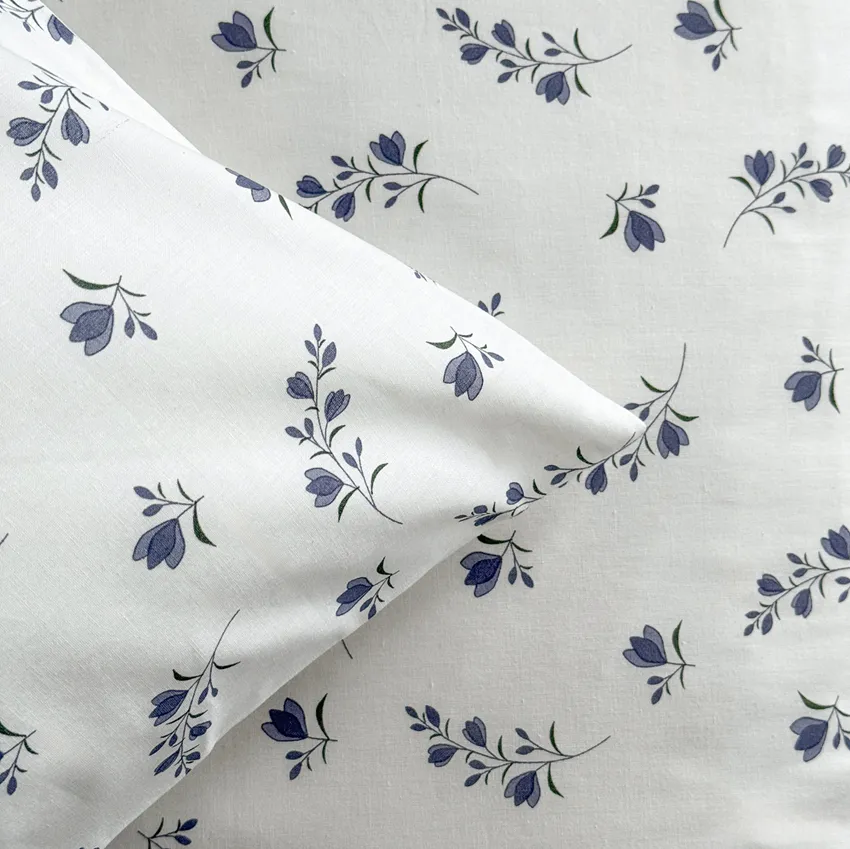 Federa Finn, Bianco/Blu