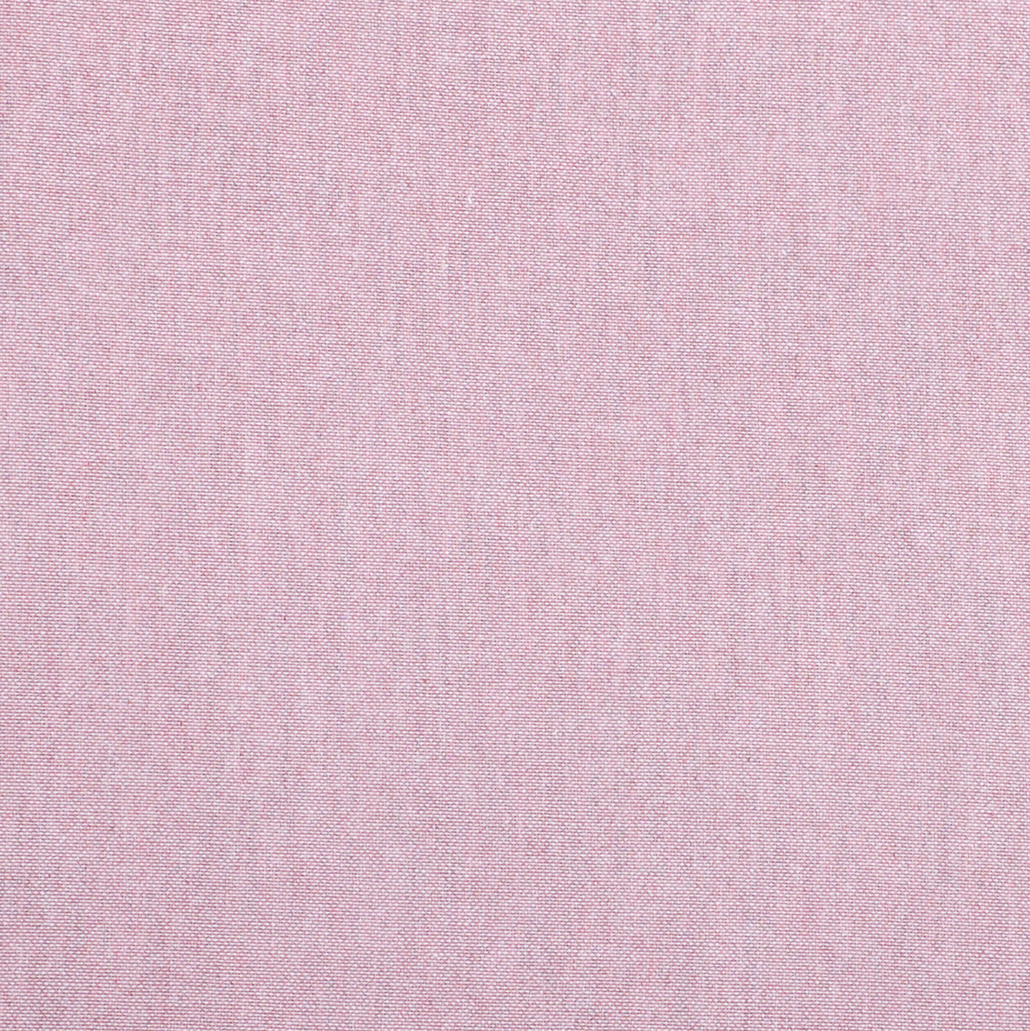 36541-36531,Elin,1500-Pix-Closeup