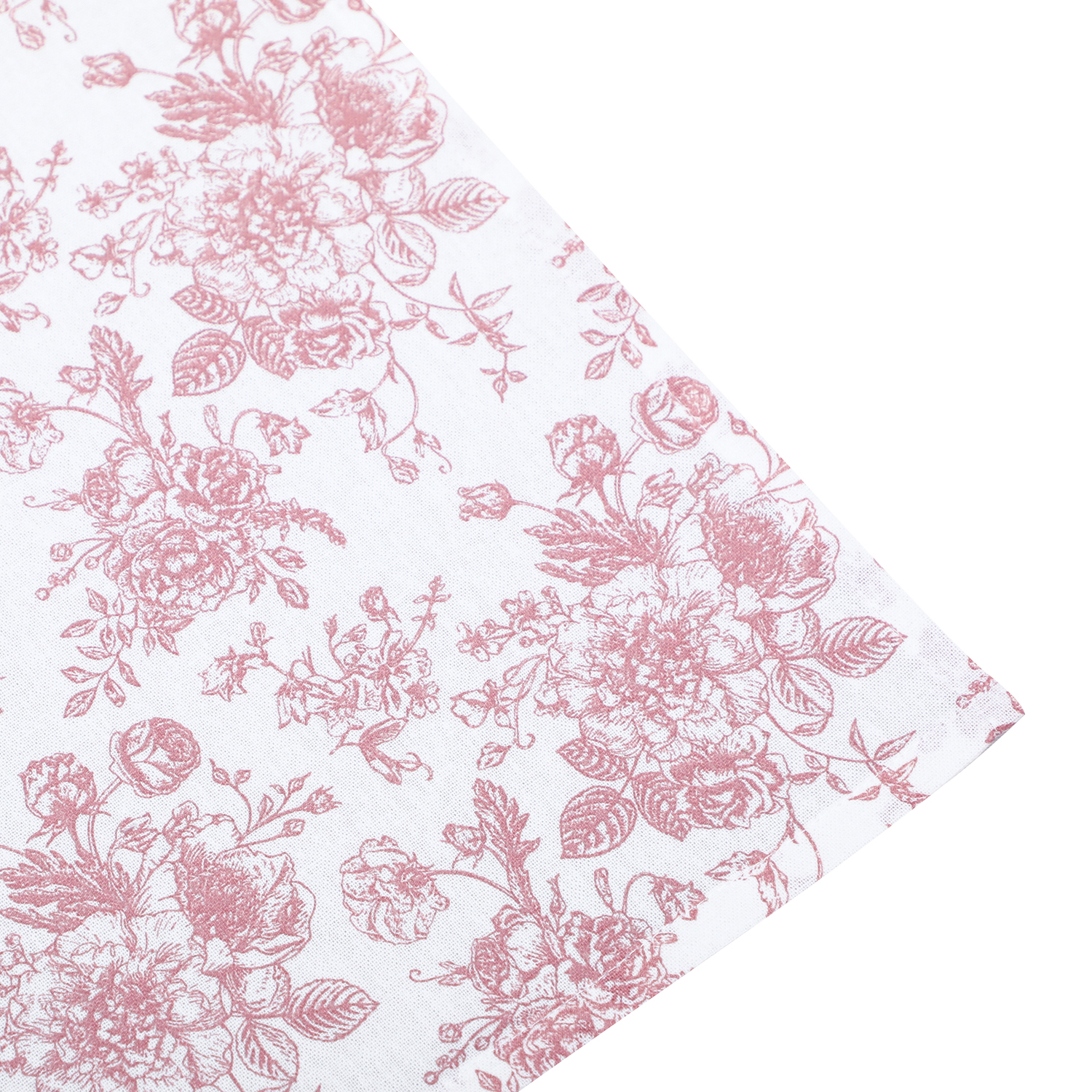 50731,Linnea,1500-Pix1-Closeup