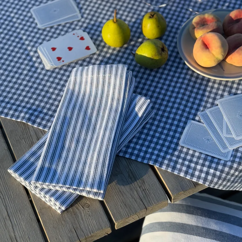 Återvunnen Servett 2-pack Lina, Gråblå/Vit