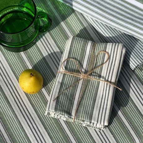 Återvunnen Kökshandduk 2-pack Eden, Grön/Beige