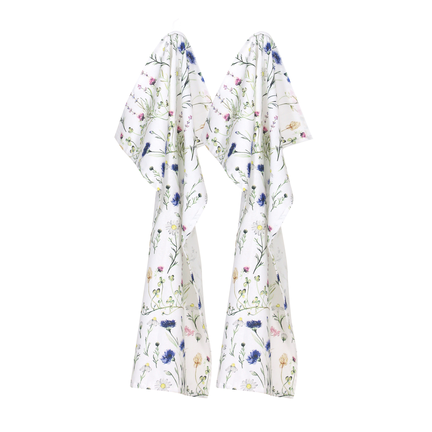 55005,Hilma,1500-Pix