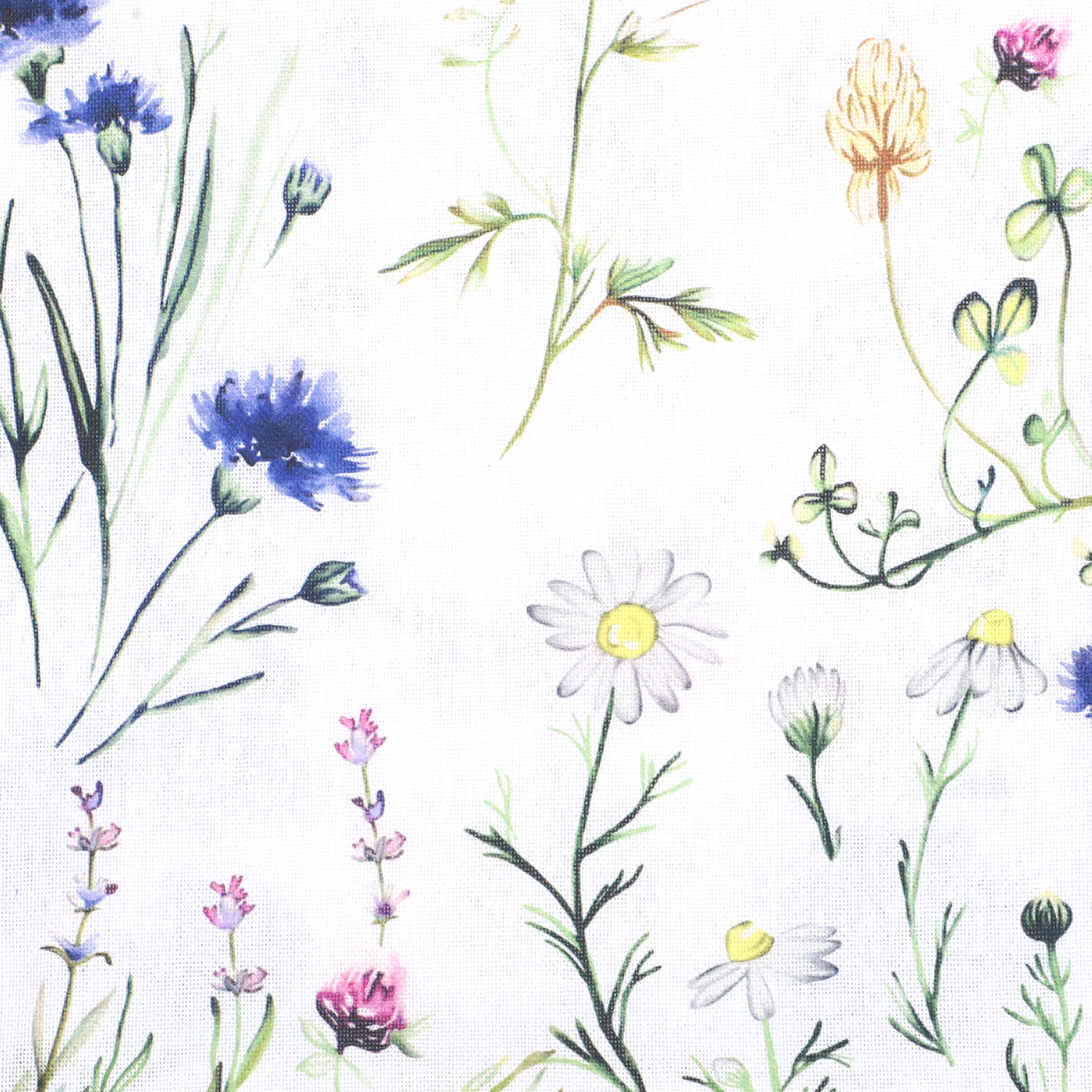 55004-55010-55011-55012,Hilma,1500-Pix-Closeup