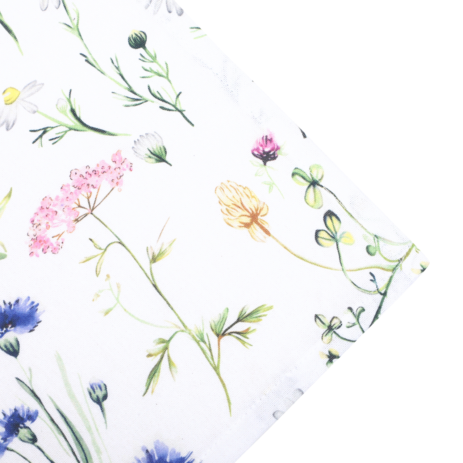 55005,Hilma,1500-Pix-Closeup