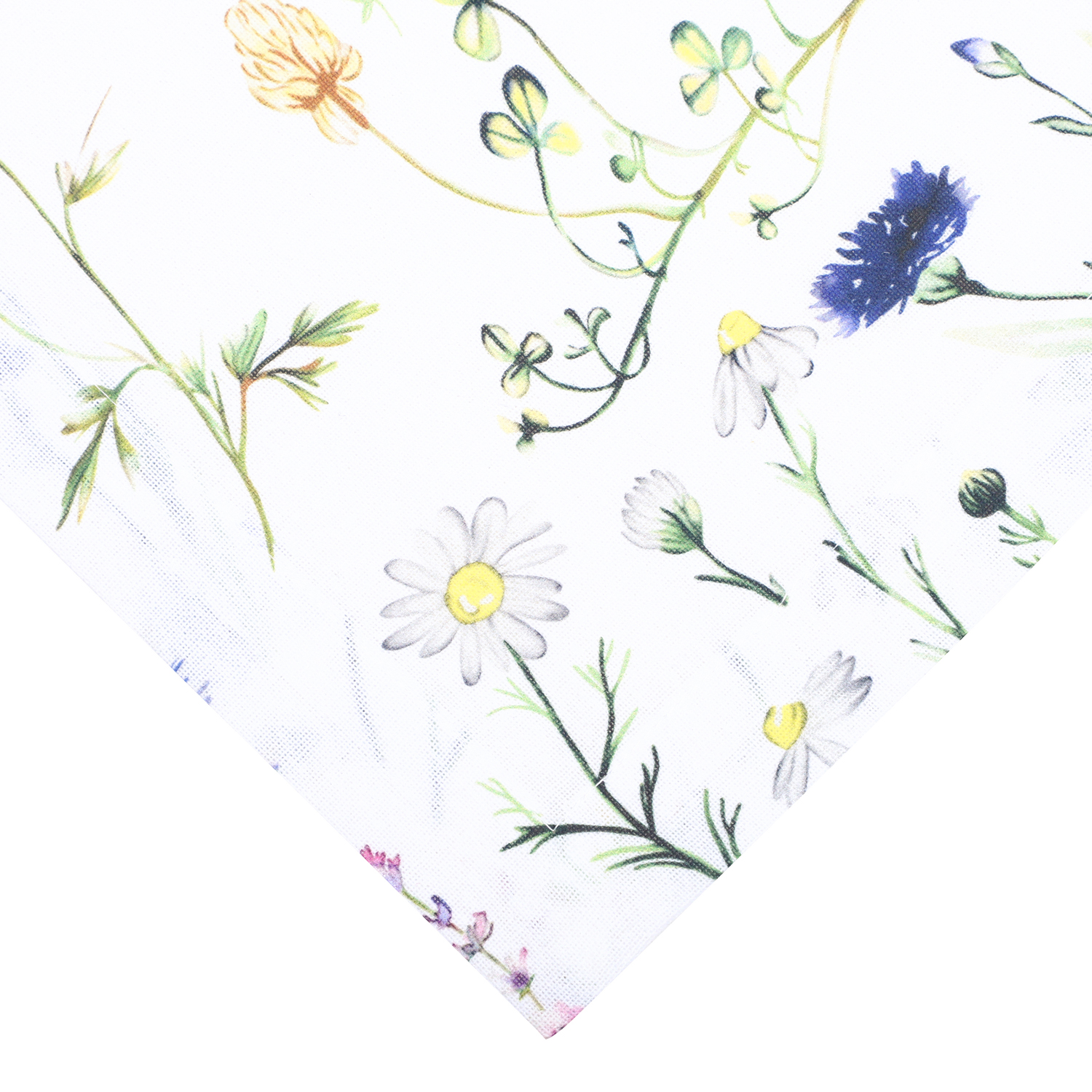 55008-55007,Hilma,1500-Pix-Closeup